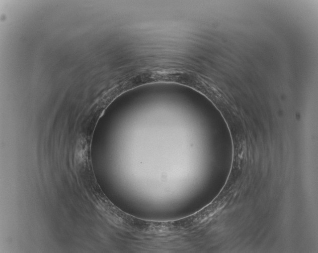 X0000062140914200512161213