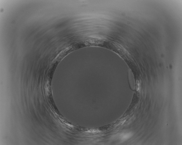 X0000062140915200512161213