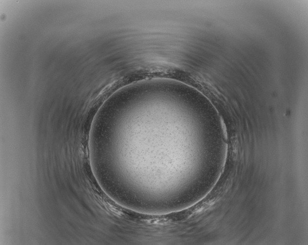 X0000062140916200512161213