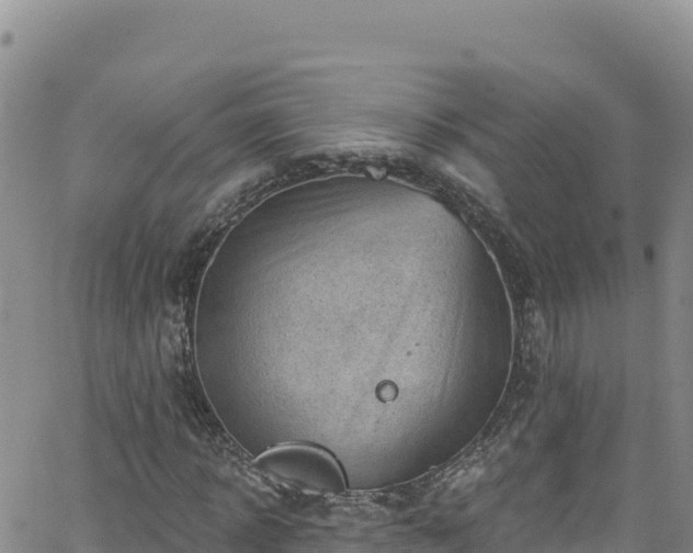 X0000062140918200512161214