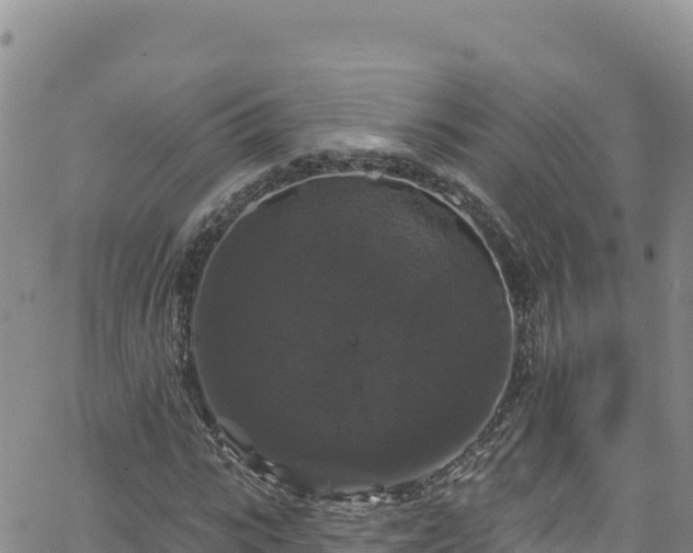 X0000062140919200512161214