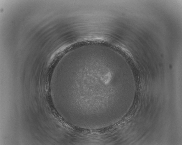 X0000062140920200512161214