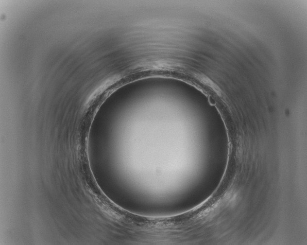 X0000062140922200512161214