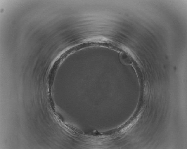 X0000062140923200512161214