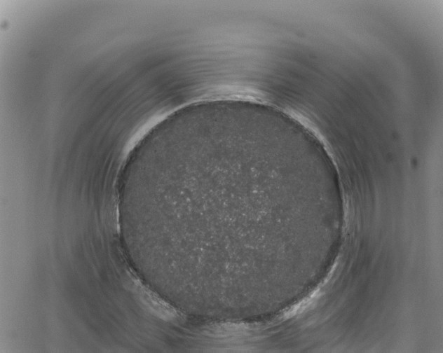 X0000062140925200512161214