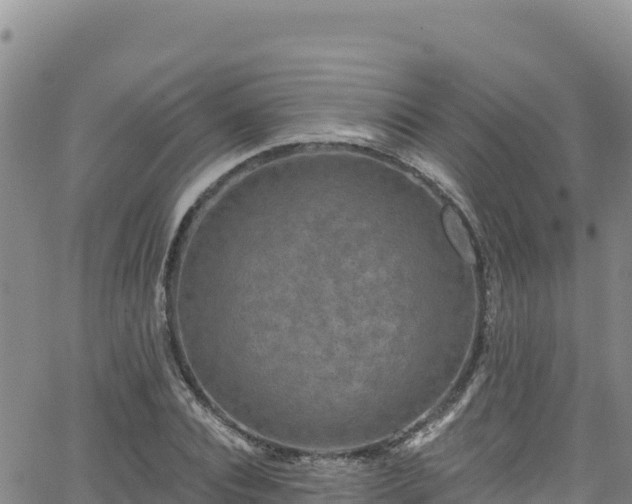 X0000062140928200512161214