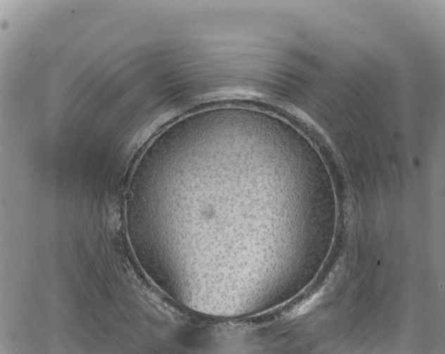 X0000062140929200512161214