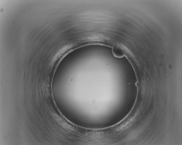 X0000062140930200512161214