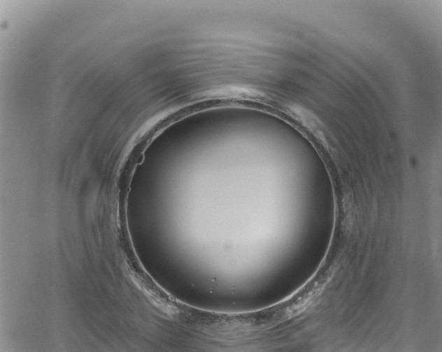 X0000062140931200512161214