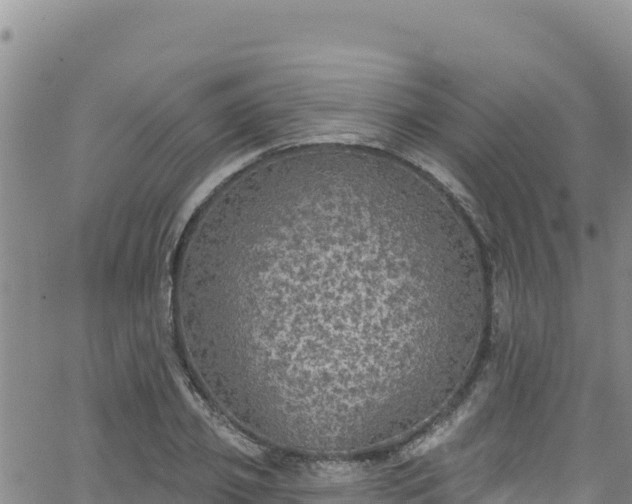 X0000062140933200512161214