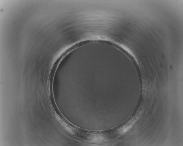 X0000062140935200512161214