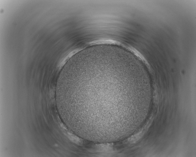 X0000062140937200512161214