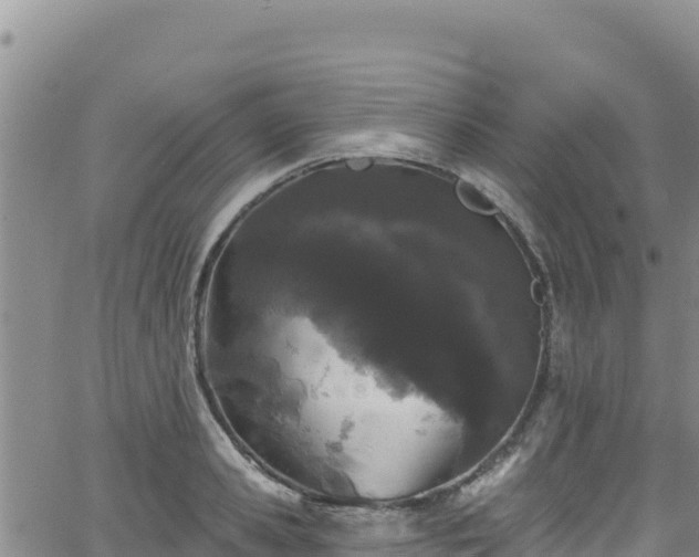 X0000062140941200512161214