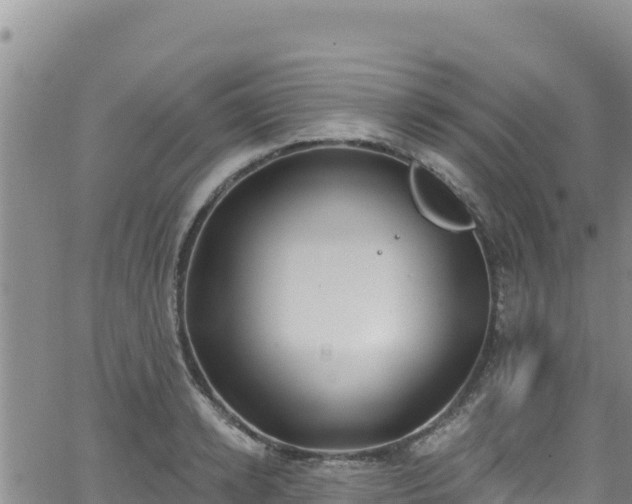 X0000062140942200512161214