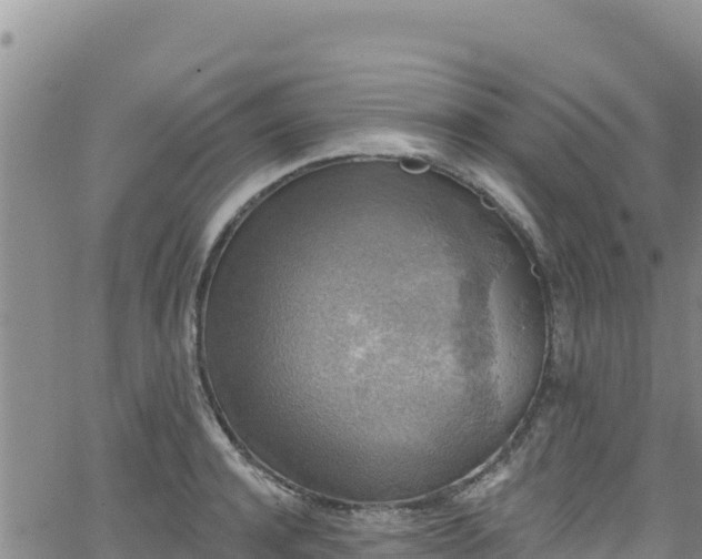 X0000062140944200512161214