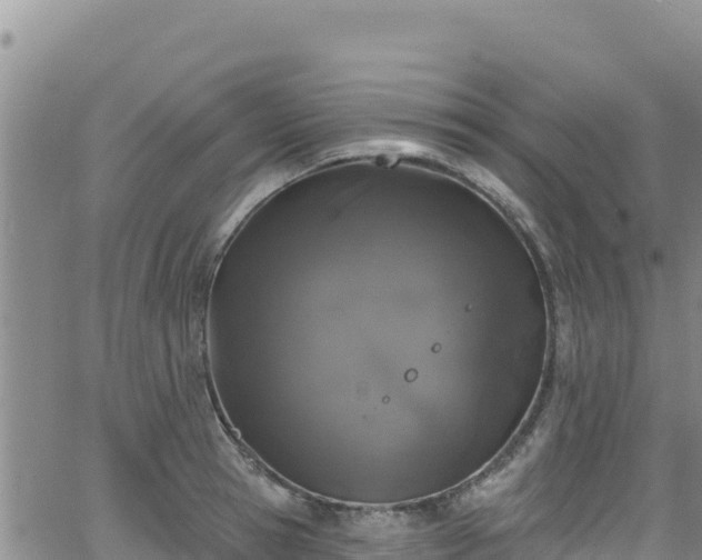 X0000062140945200512161214