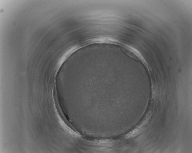 X0000062140946200512161214