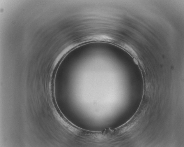 X0000062140947200512161214