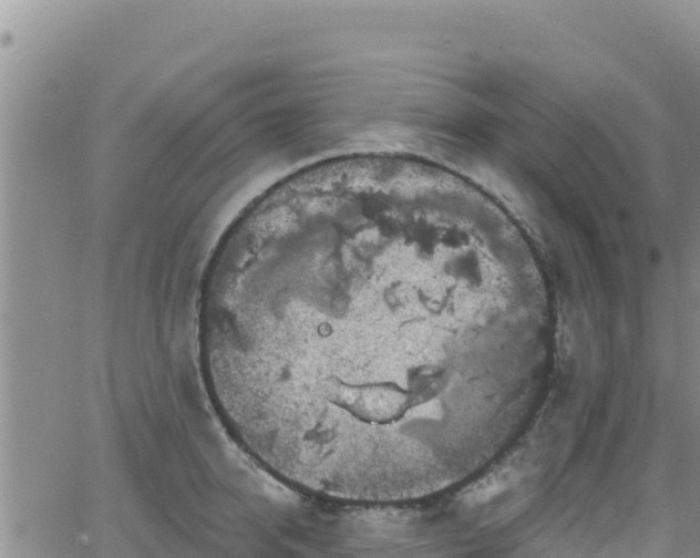 X0000062140950200512161214