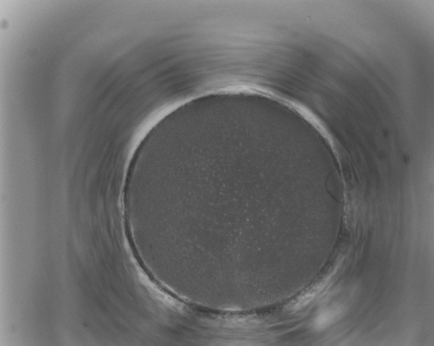 X0000062140951200512161214