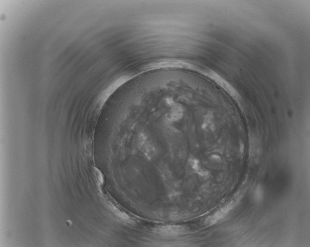 X0000062140953200512161214