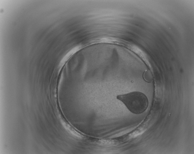 X0000062140954200512161214