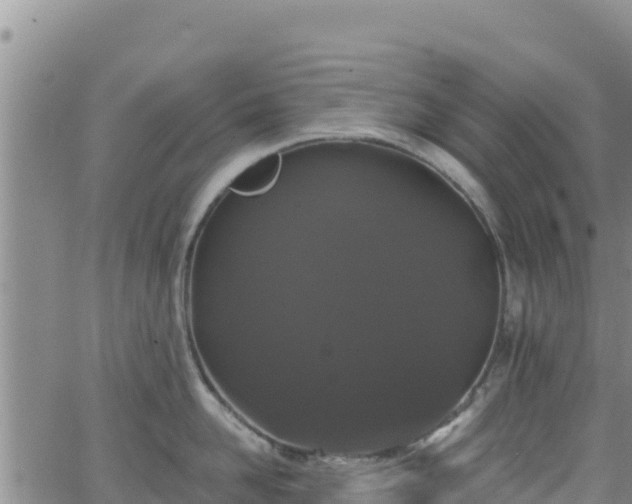 X0000062140958200512161214