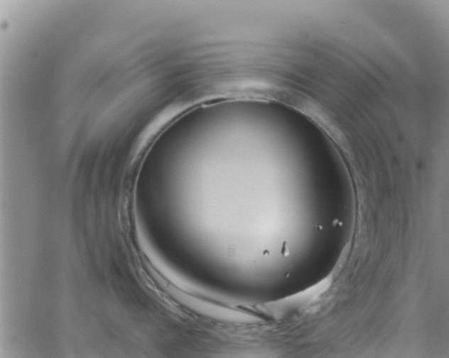 X0000062140960200512161214