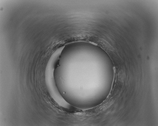 X0000062140961200512161213