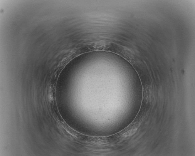 X0000062140962200512161213