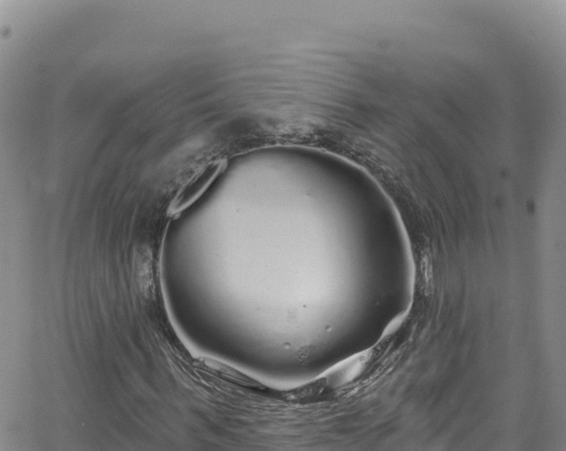 X0000062140963200512161213