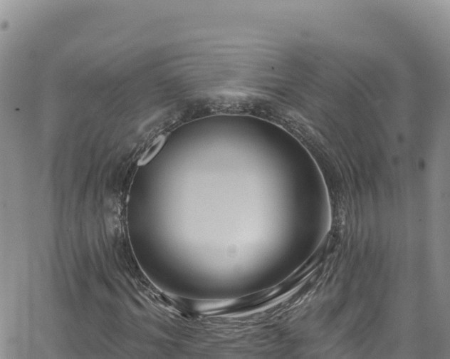 X0000062140964200512161213