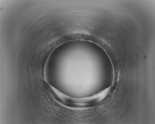 X0000062140965200512161213