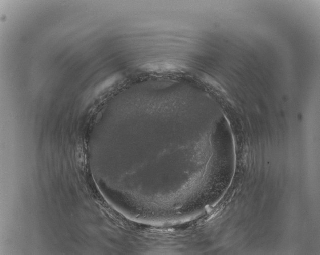 X0000062140966200512161213