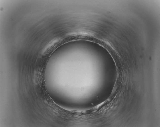 X0000062140967200512161213