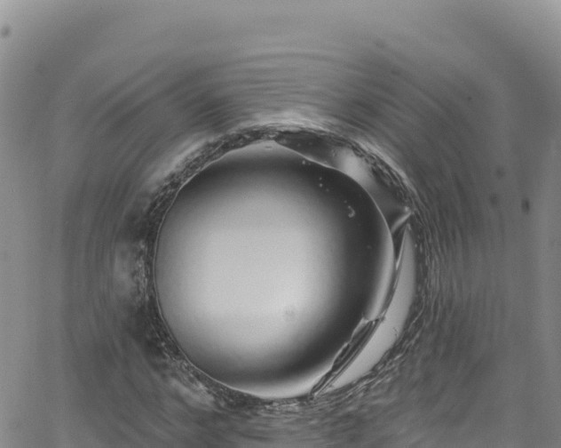 X0000062140968200512161213