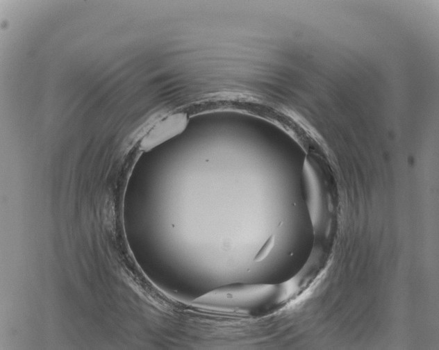 X0000062140969200512161213