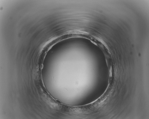 X0000062140971200512161213