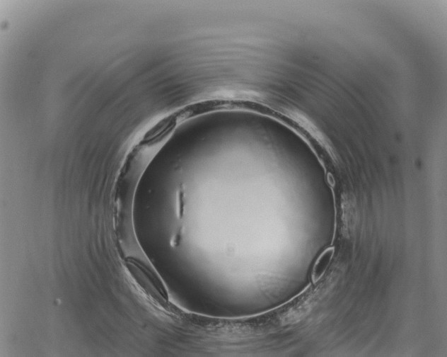 X0000062140972200512161213