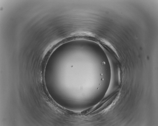 X0000062140973200512161213