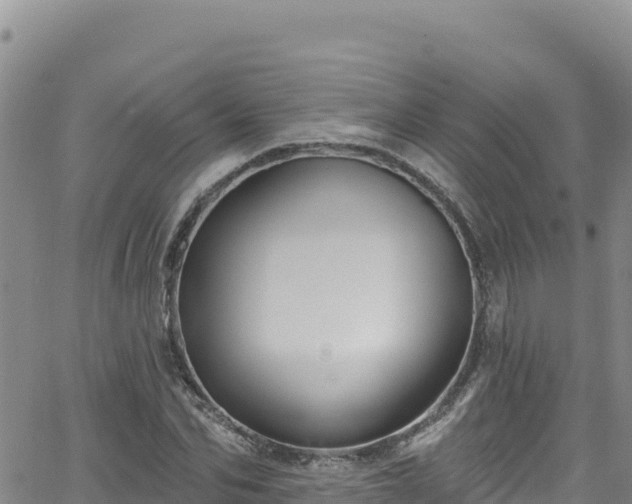 X0000062140974200512161213