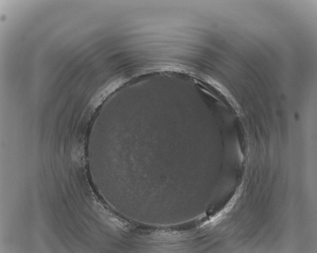 X0000062140977200512161213