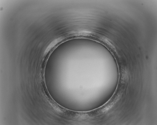 X0000062140978200512161213