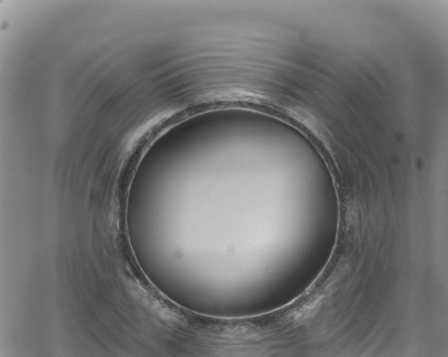 X0000062140979200512161213