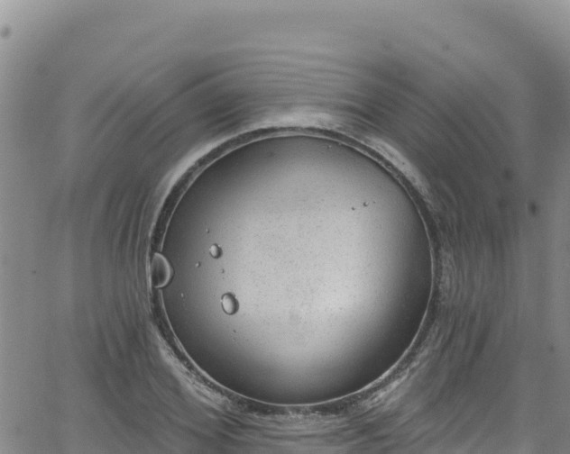 X0000062140980200512161213