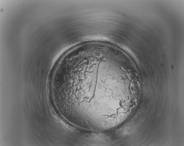 X0000062140983200512161213