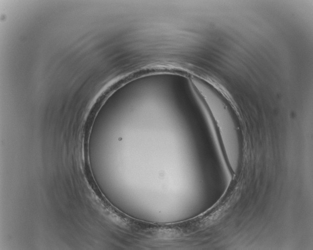 X0000062140984200512161213