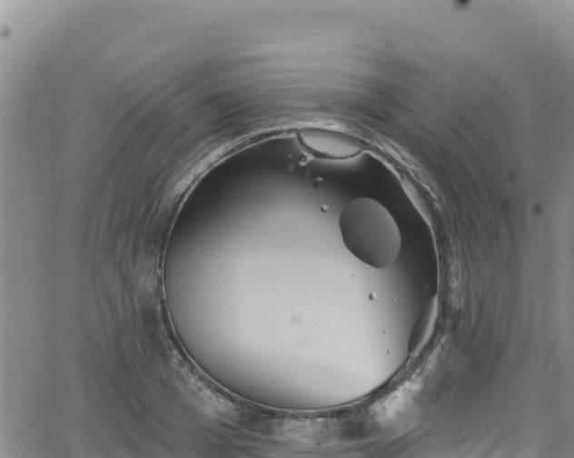 X0000062140985200512161213