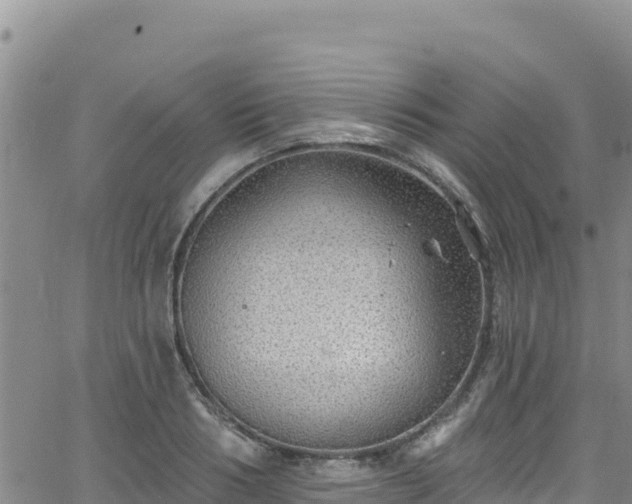 X0000062140986200512161213