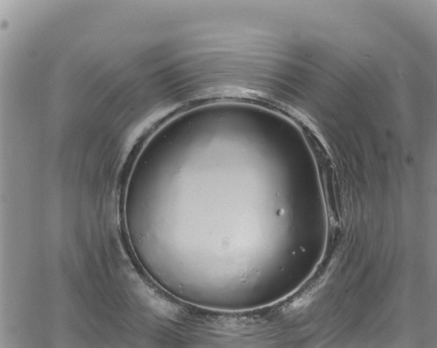 X0000062140987200512161213